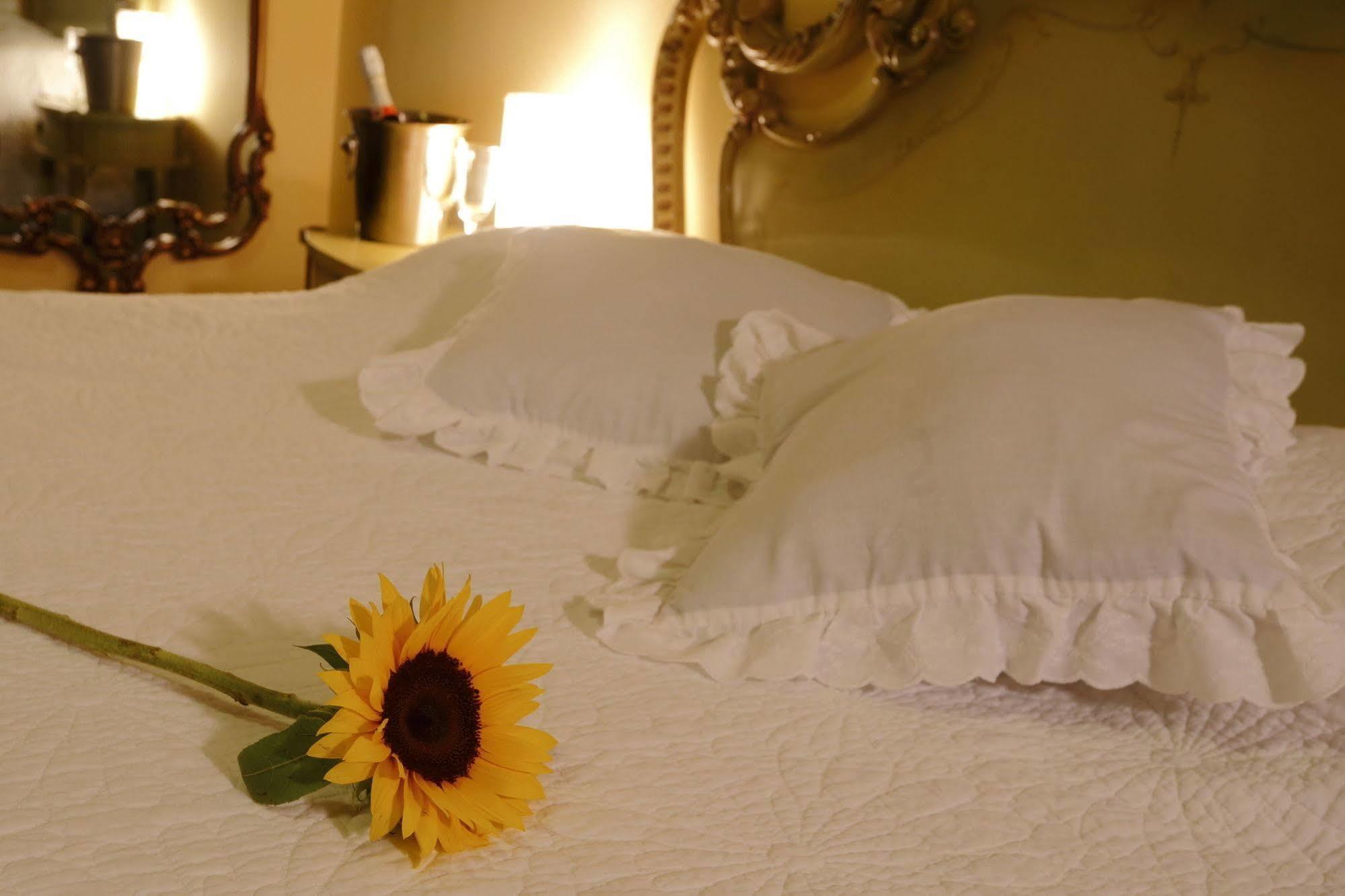 Bed & Breakfast - La Casa De Ceci Lima Dış mekan fotoğraf